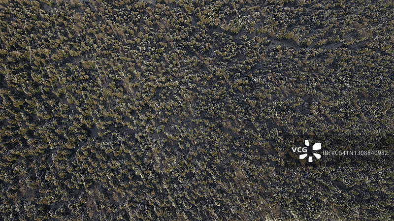 泽比奥山图片素材