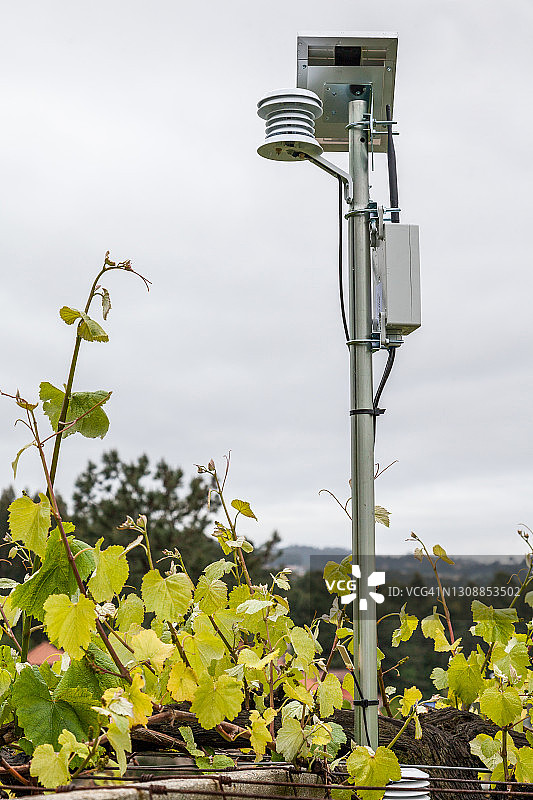 阿尔巴利诺葡萄园中的气象站图片素材