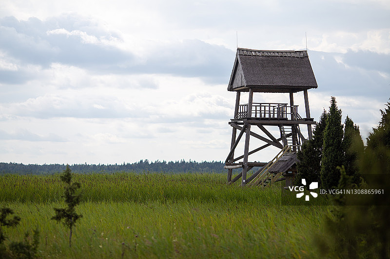 沼泽中的瞭望塔图片素材