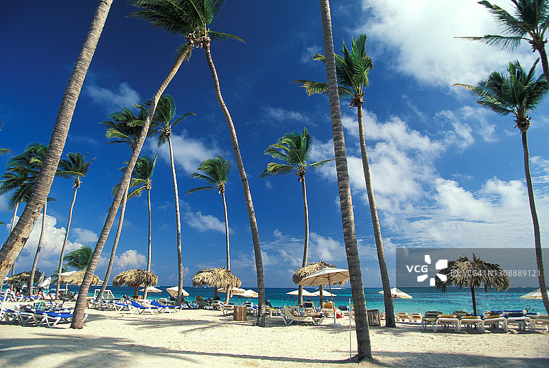 棕榈树下的海滩度假胜地图片素材