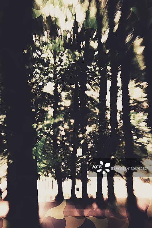 自然抽象艺术散景图片素材