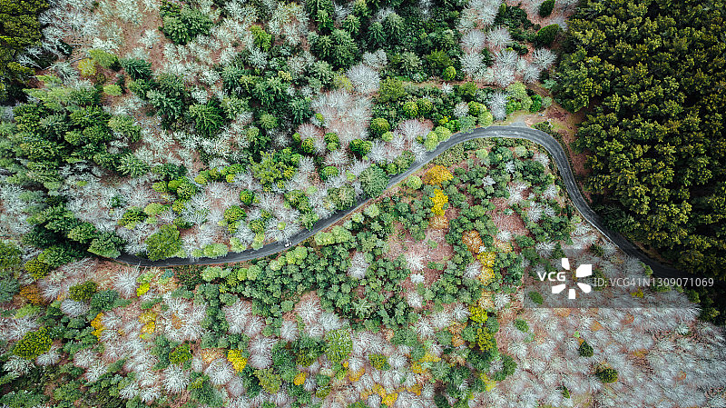 佩雷罗山的蜿蜒道路图片素材