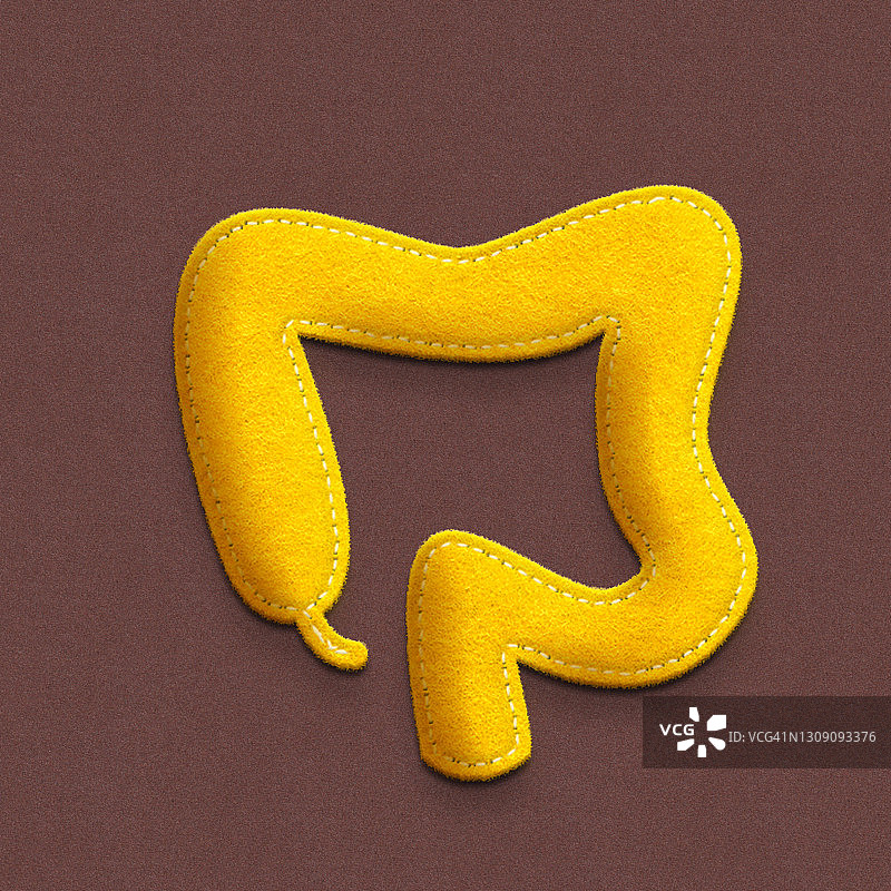 由毛毡和纸制成的人体肠道概念图图片素材