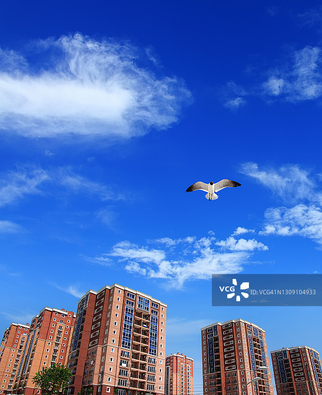 蓝天下住宅公寓楼图片素材