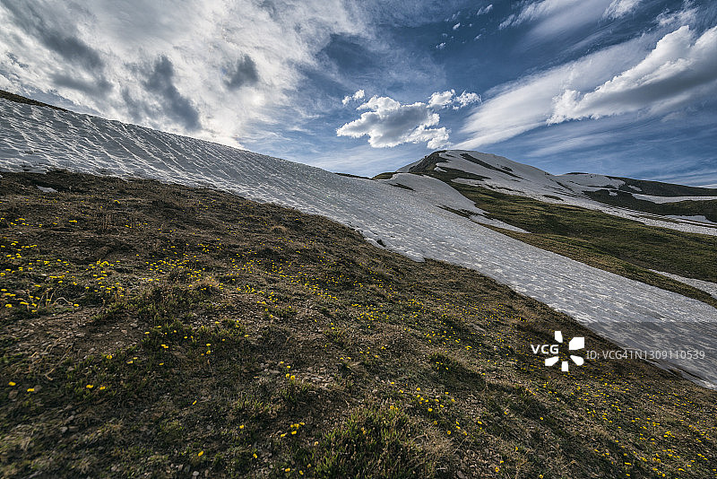 科罗拉多落基山脉的高山草甸图片素材