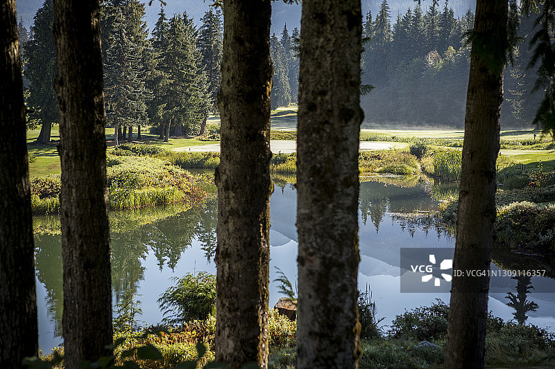 惠斯勒高尔夫球场，池塘中山景倒影图片素材