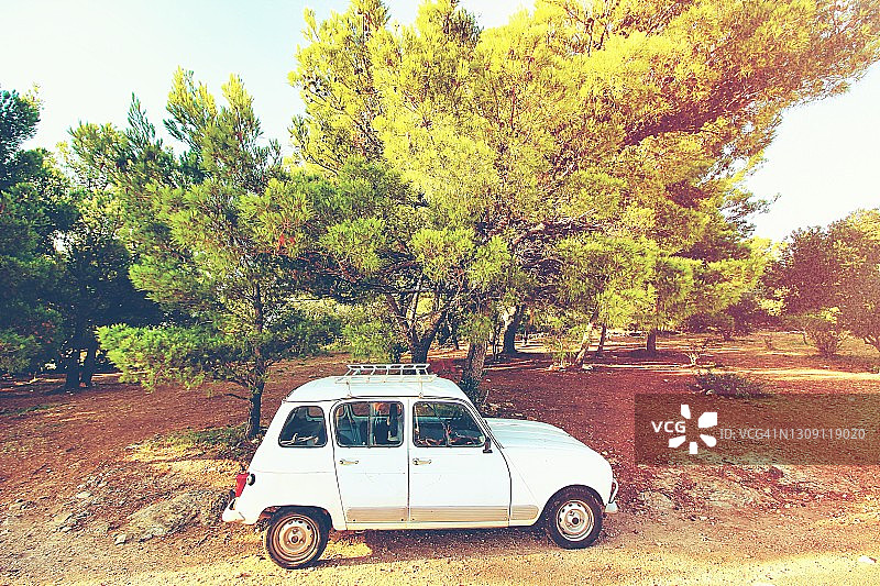 雷诺4汽车上的69号夏日图片素材