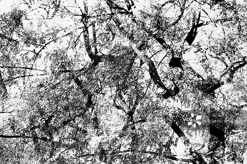 双重曝光图片素材