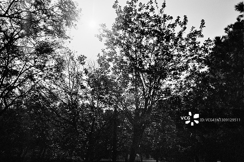 双重曝光图片素材