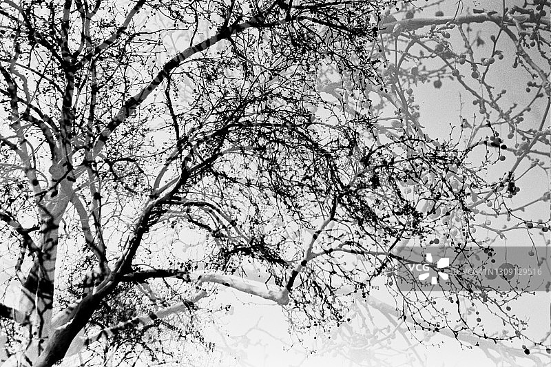 双重曝光图片素材