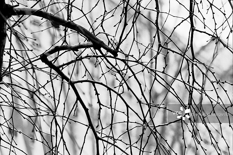 双重曝光图片素材