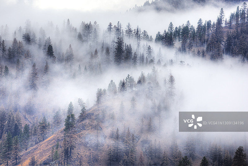 清晨的雾景图片素材