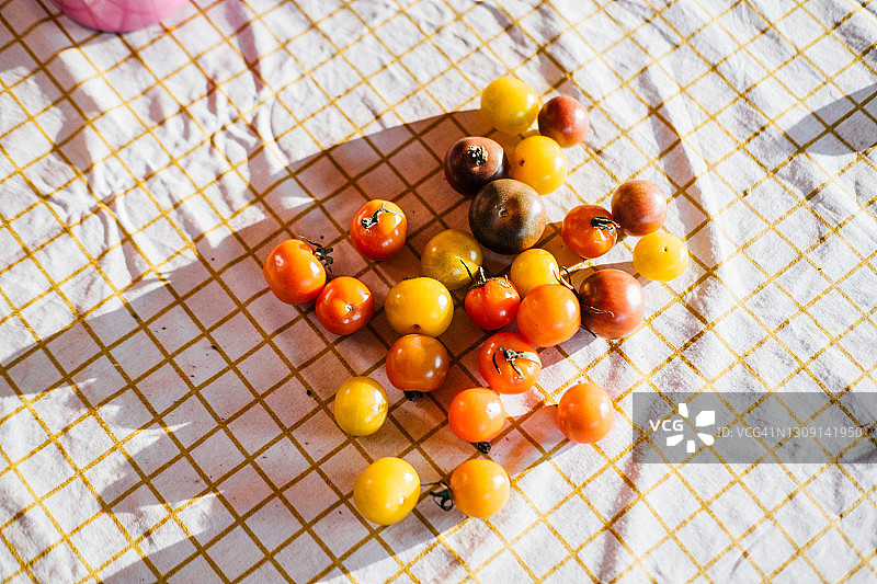 阳光下桌布上的彩色番茄图片素材