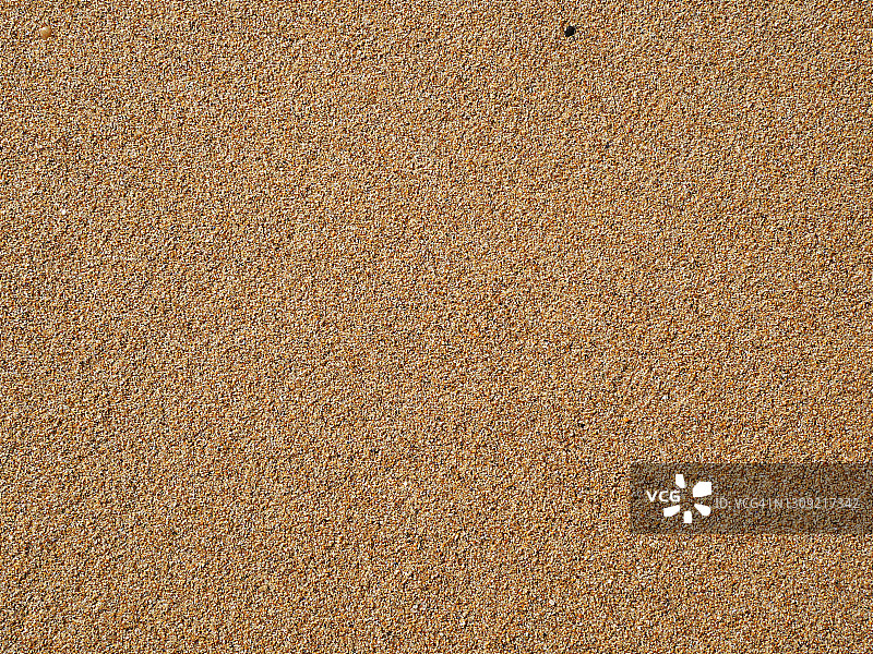 法国卢瓦尔-大西洋海滩的棕色沙滩图片素材