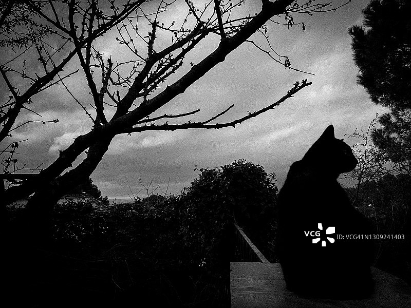 神秘梦境图片素材