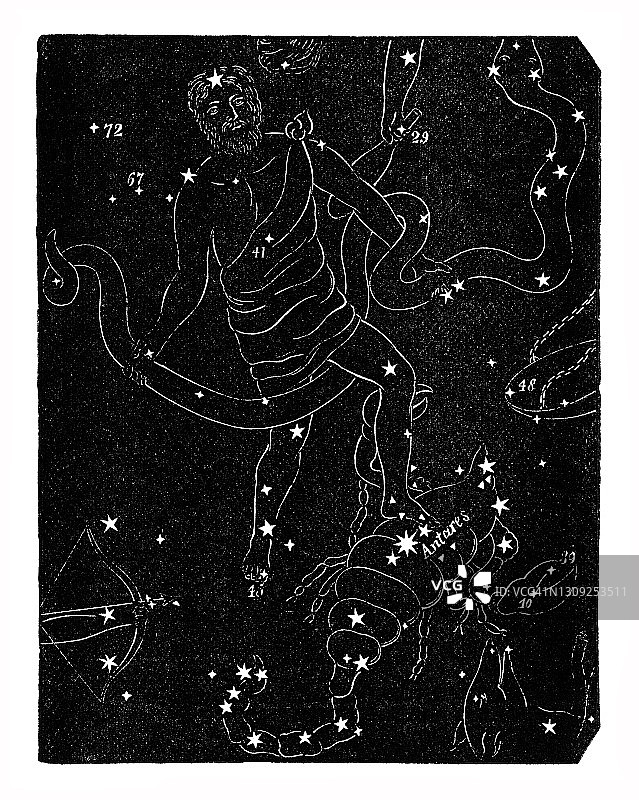 天文学古老雕刻插图：蛇夫座和天蝎座，星图图片素材