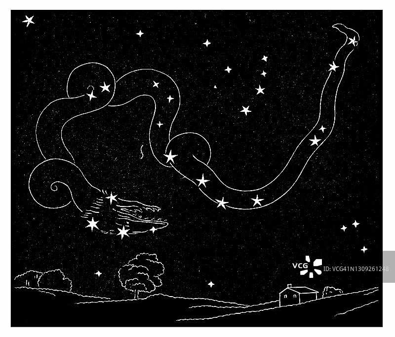 天文学：天龙座古版画插图图片素材