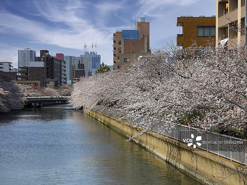 大冈川和巴桥图片素材