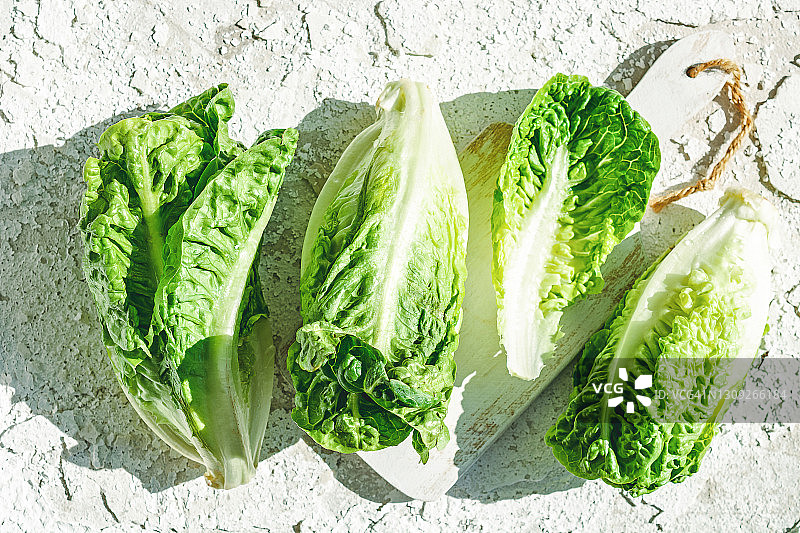 罗马生菜心图片素材