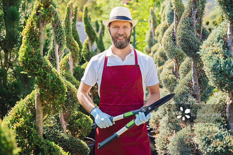 园艺师在园艺中心修剪植物图片素材
