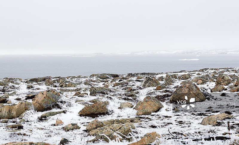纽芬兰的岩石海岸线图片素材