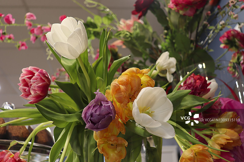 玻璃花瓶里的郁金香图片素材