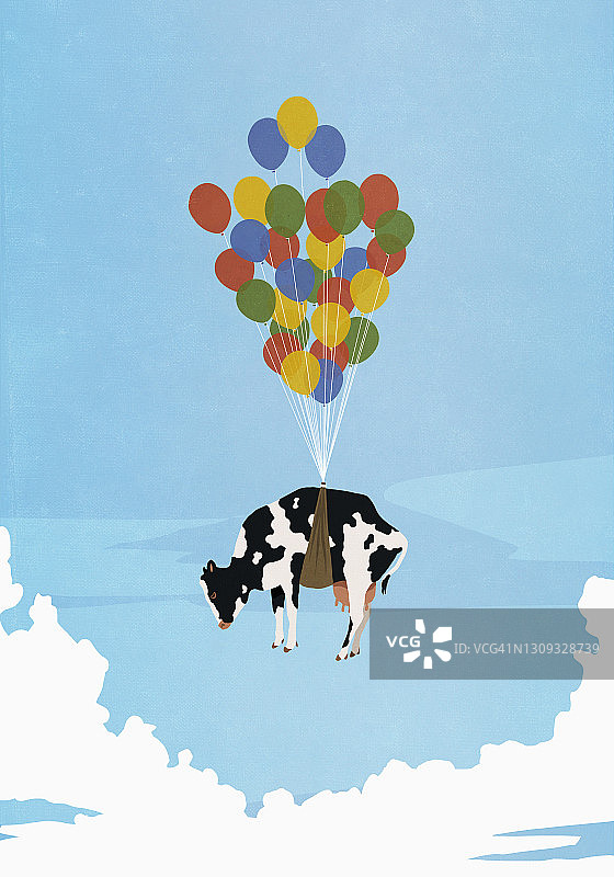 氦气球将奶牛 поднимать 在空中图片素材