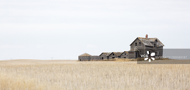 田野中孤独的废弃农舍和棚屋图片素材