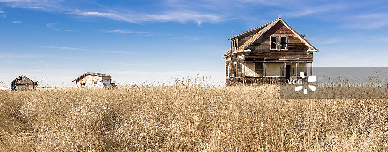 被遗弃的艾伯塔省农舍肖像图片素材
