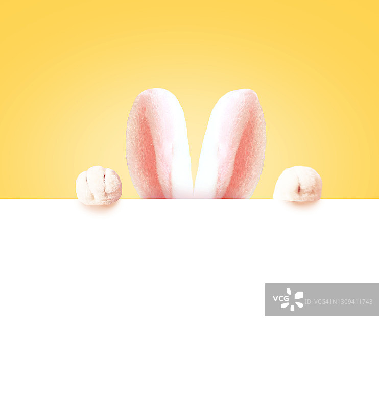白色背景上的可爱兔子耳朵，复活节概念图片素材