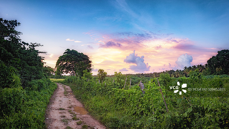 黄昏时分的小路图片素材