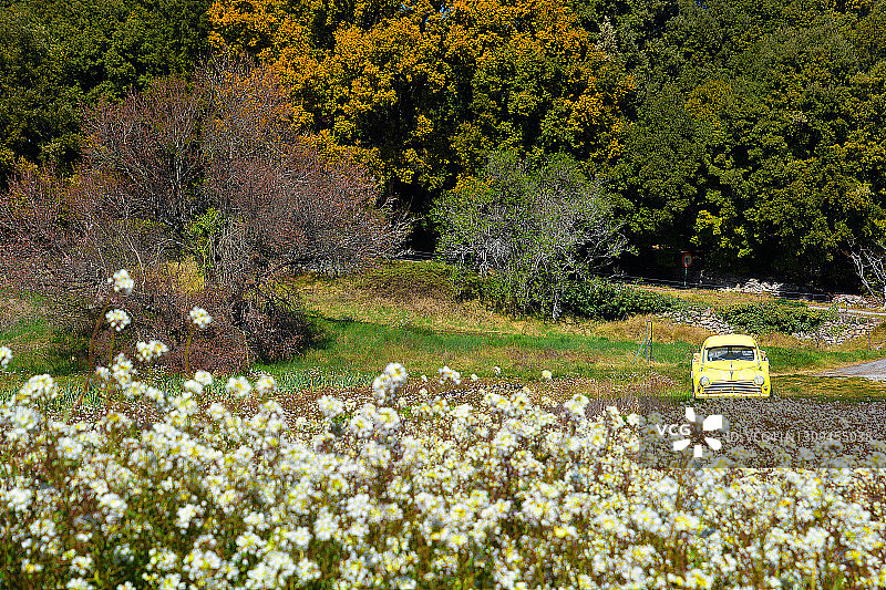 法国田野里的旧黄色汽车图片素材