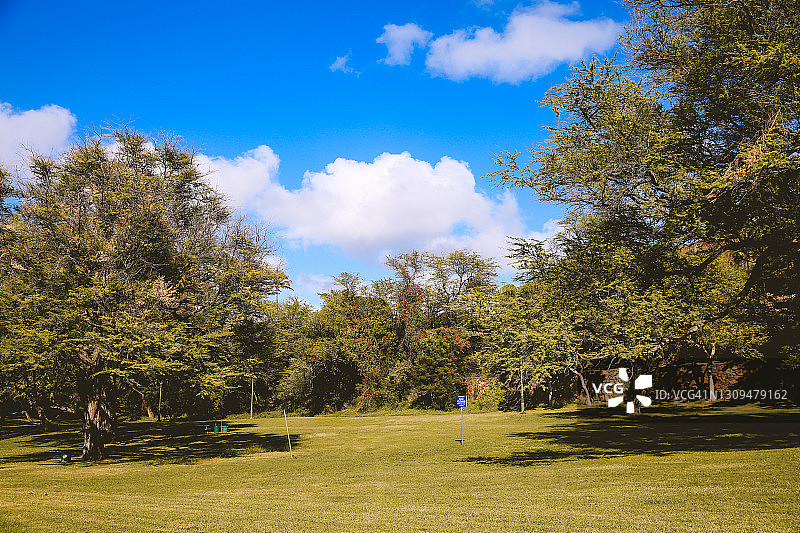 夏威夷公园树木图片素材