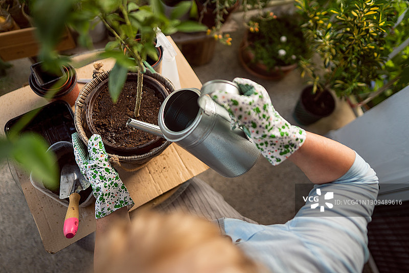 高角度视图，无法辨认的妇女浇水后移植图片素材