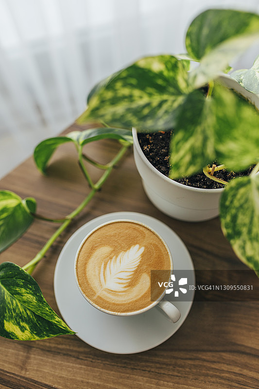 精美的拿铁艺术图片素材