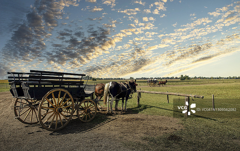 阿根廷农场的马车图片素材
