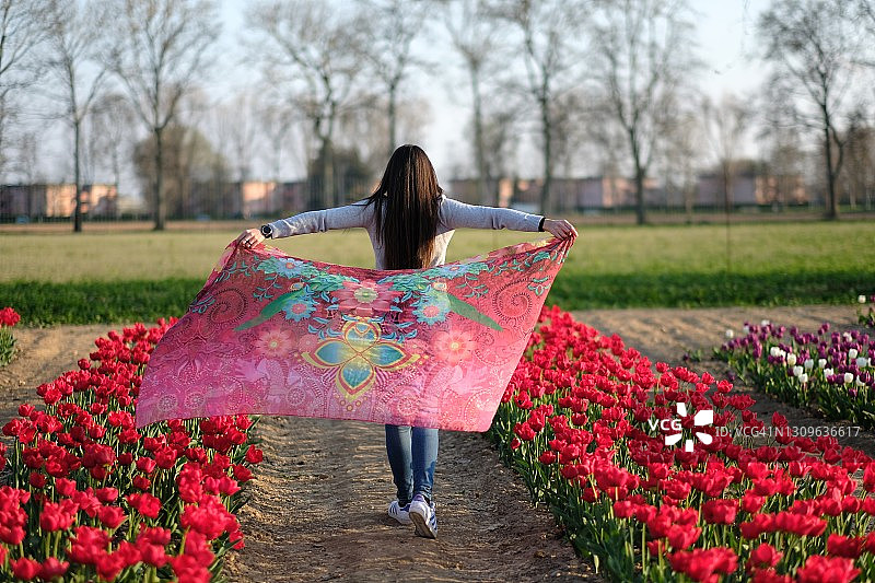 春天里拿着彩色郁金香的女孩图片素材