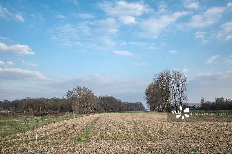 户外晴朗的水平视角：为农业田地准备土壤图片素材