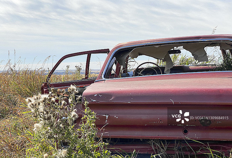 高草丛中废弃的旧车图片素材