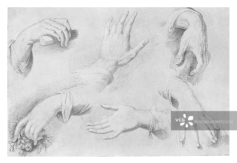 素描手 - 学习绘画古老雕刻插图图片素材
