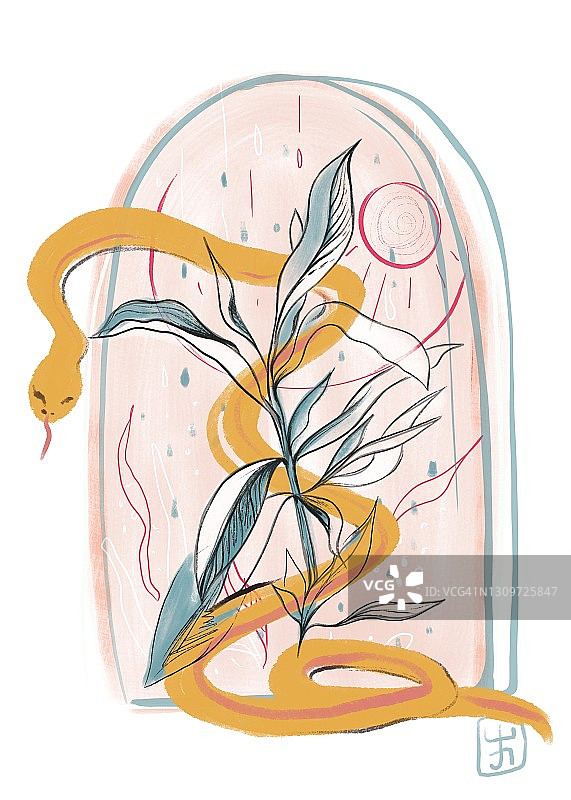 植物插画：缠绕黄蛇图片素材