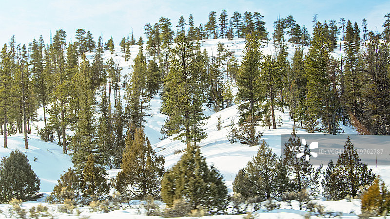 美国犹他州布莱斯峡谷森林图片素材