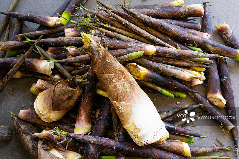 新鲜采摘的春笋图片素材