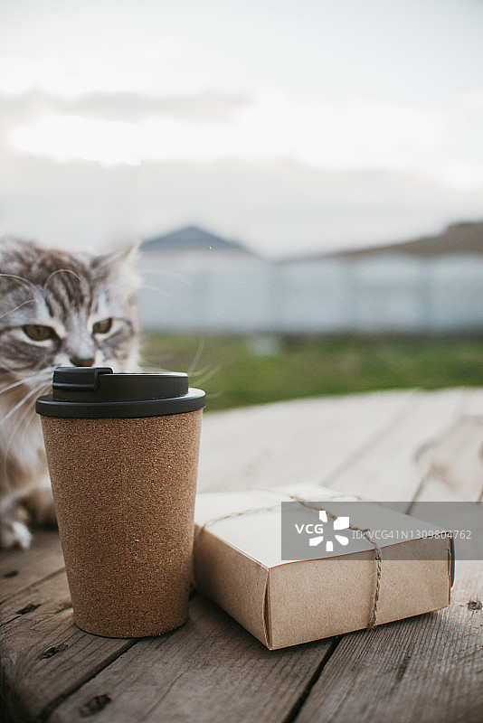 环保外卖食品包装，配送，可重复使用的杯子在桌子上图片素材