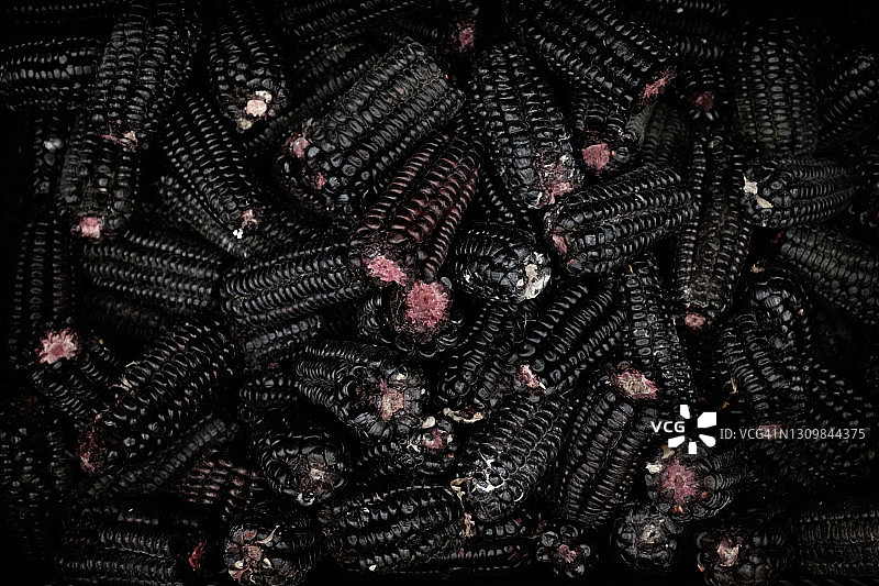 新鲜采摘的黑玉米图片素材