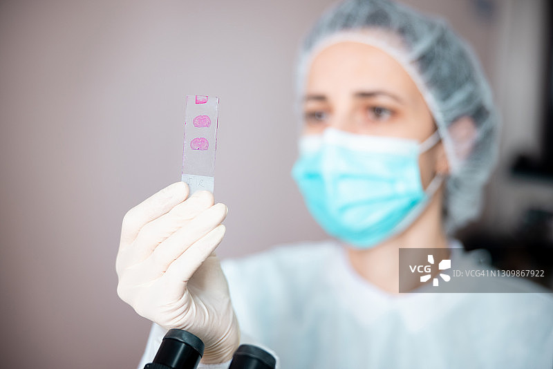 戴防护手套的女科学家分析样本图片素材