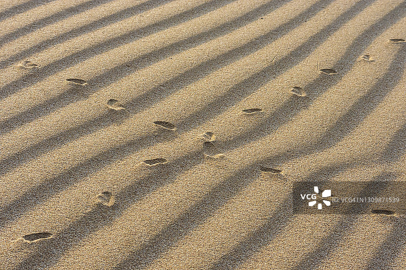 沙滩上的鸟脚印图片素材