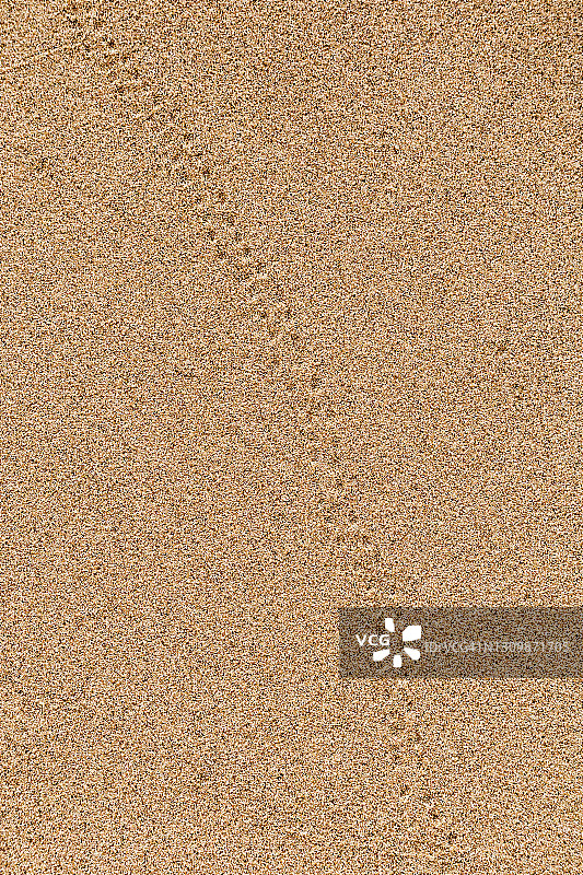 沙滩上的鸟脚印图片素材