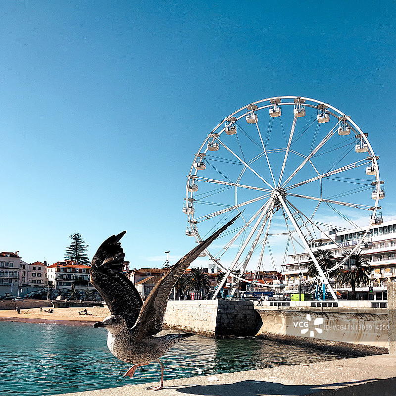 卡斯卡伊斯明信片图片素材