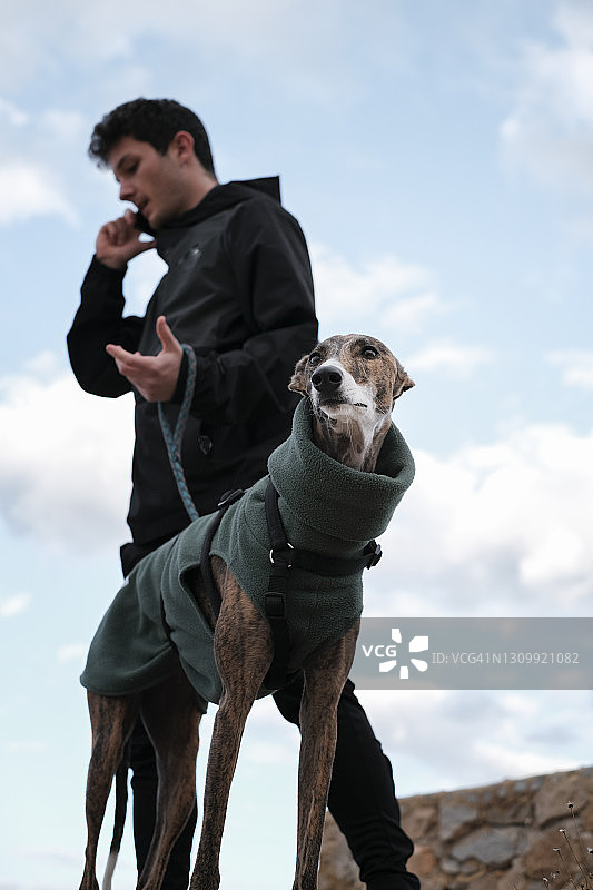 年轻男人遛狗时打电话，留有文案空间图片素材